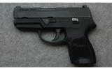 Sig Sauer, Model P320 Sub Compact Semi-Auto Pistol, .40 Smith and Wesson - 2 of 2