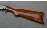 Remington, Model 25 Takedown Slide Action, .25-20 WCF (.25-20 Winchester Center Fire) - 7 of 7