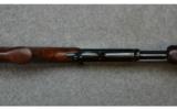 Winchester, Model 61 Hammerless Magnum Slide Action, .22 Winchester Magnum Rimfire - 3 of 7