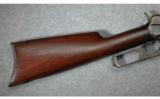 Winchester ~ 1895 ~ .30-03 - 5 of 9
