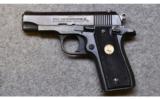 Colt ~ MK IV/Series 80 Government Model ~ .380 ACP - 2 of 2