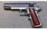 Safari ~ Unknown with Colt Slide ~ .45 ACP - 2 of 2