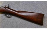 Springfield Armory ~ 1873 Rifle Trapdoor ~ .45-70 Govt. - 9 of 9