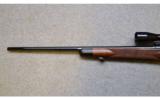 Winchester ~ Model 70 Cabela's Anniversary Edition ~ .270 Win. - 7 of 9