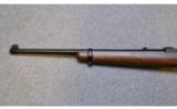 Ruger ~ 10/22 ~ .22 WMR - 7 of 9