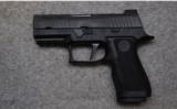 SIG Sauer ~ P320 XCarry ~ 9mm - 2 of 2