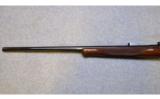 Browning ~ 78 ~ .22-250 Remington - 7 of 9