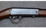 Remington ~ 24 ~ .22 Short - 5 of 20