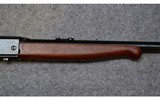 Remington ~ 24 ~ .22 Short - 7 of 20