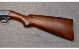 Remington ~ 24 ~ .22 Short - 18 of 20