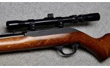 Marlin Model 60 - 10 of 10