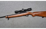 Ruger 10/22 - 5 of 10