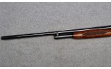 Winchester 12 - Image 8 of 11