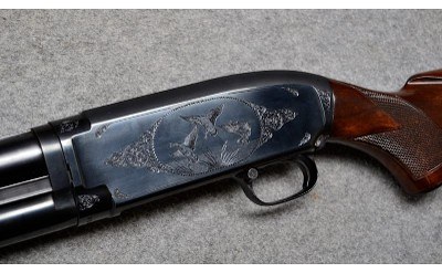 Winchester 12 - Image 10 of 11