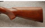 Winchester pre-'64 Model 70 .30-06 Sprg. - 7 of 9