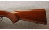 Winchester pre-'64 Model 70 .257 Roberts - 7 of 9