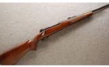 Winchester pre-'64 Model 70 .257 Roberts - 1 of 9