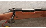 Winchester Cabela's Exclusive Model 70 Lightweight Super Grade 7mm Mauser - 2 of 8