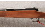 Winchester Cabela's Exclusive Model 70 Lightweight Super Grade 7mm Mauser - 4 of 8