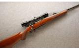Ruger M77 .243 Win. *Tang Safety* - 1 of 8