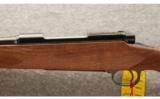 Winchester Cabela's Exclusive Model 70 Lightweight Super Grade 7mm Mauser - 4 of 8