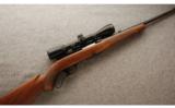 Winchester Model 88
.308 Win. - 1 of 9