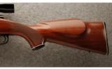Winchester Model 70 XTR Varmint .22-250 Rem. - 7 of 9