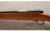 Winchester pre-'64 Model 70 .30-06 Sprg. - restocked - 4 of 9