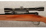 Winchester pre-'64 Model 70 .30-06 Sprg. - restocked - 4 of 8