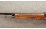 Winchester Model 71 .348 Win. - refinished - 6 of 9