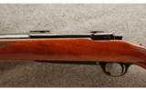 Ruger M77 7mm Rem. Mag. - Tang Safety - 4 of 8