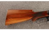 Winchester Model 1901 10 ga. - 5 of 9