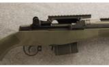 Springfield Armory M1A
.308 Win. - 2 of 8