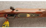 Winchester ~Cabela's Limited Ed. Model 70 Super Grade ~ .375 H&H - 9 of 9
