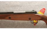 Winchester ~Cabela's Limited Ed. Model 70 Super Grade ~ .375 H&H - 4 of 9