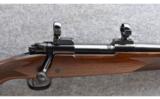 Winchester ~ Model 70 ~ .25-06 Rem. - 2 of 8