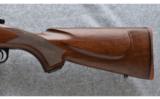 Winchester ~ Model 70 ~ .25-06 Rem. - 7 of 8