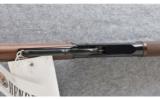 Henry Varmint Express .17 HMR - 3 of 8