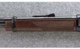 Henry Varmint Express .17 HMR - 6 of 8