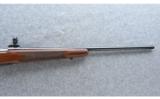 Winchester ~ Model 70 XTR Sporter (Push Feed) ~ .300 H&H - 4 of 9