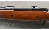 CZ ~ 550 American Safari Magnum ~ .375 H&H - 8 of 9