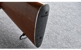 Remington ~ 725 ADL ~ .243 Win. - 10 of 10