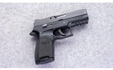 SIG Sauer ~ P250 ~ .40 S&W - 1 of 2