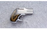 American Derringer ~ DA38 ~ .40 S&W - 1 of 2