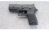 SIG Sauer ~ P250 ~ .40 S&W - 2 of 3
