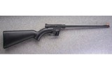 Henry ~ H002B - .22 Long Rifle - 1 of 10