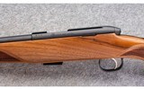 Steyr Arms ~ Zephyr II ~ .22 Long Rifle - 8 of 10