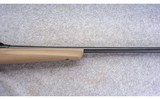 Remington ~ 783 ~ .243 Win - 4 of 10