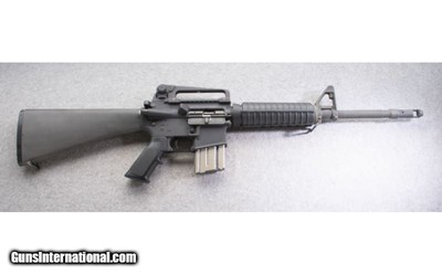 Bushmaster ~ XM15-E2S ~ .223/5.56