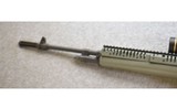 Springfield Armory M1A - 6 of 10